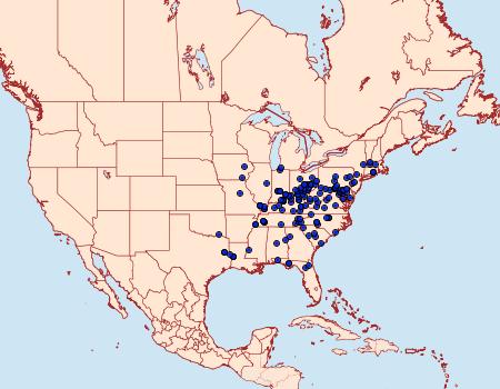 Distribution Data for Manduca jasminearum