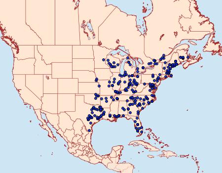 Distribution Data for Dolba hyloeus