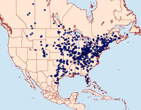 Distribution Data for Ceratomia undulosa