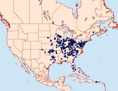 Distribution Data for Ceratomia catalpae