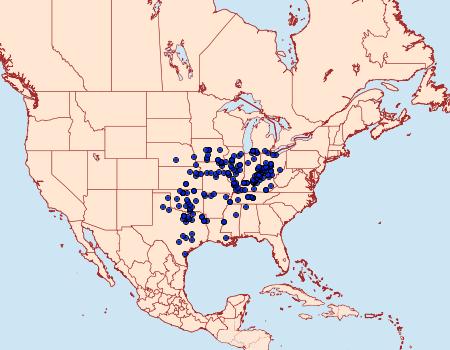 Distribution Data for Ceratomia hageni