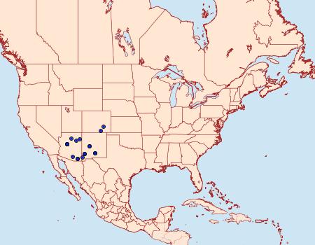 Distribution Data for Sagenosoma elsa