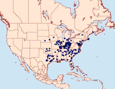 Distribution Data for Paratrea plebeja