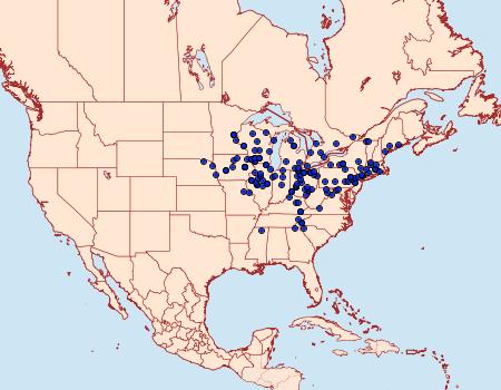 Distribution Data for Lintneria eremitus