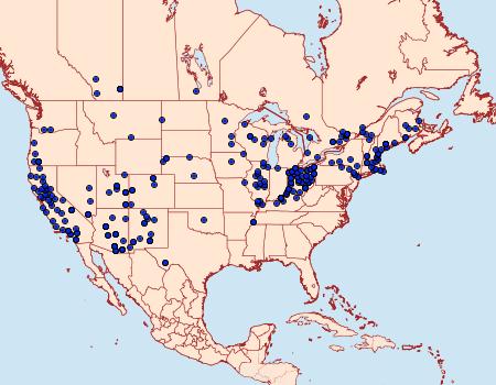 Distribution Data for Sphinx chersis