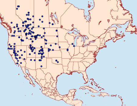 Distribution Data for Sphinx vashti