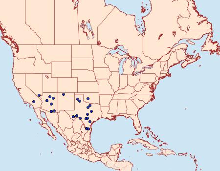 Distribution Data for Sphinx libocedrus