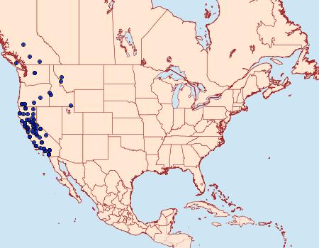 Distribution Data for Sphinx perelegans