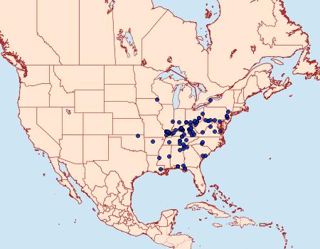 Distribution Data for Sphinx franckii