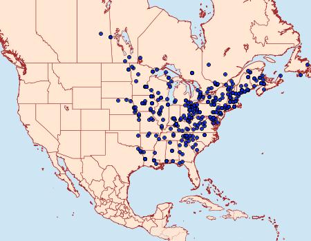 Distribution Data for Sphinx kalmiae