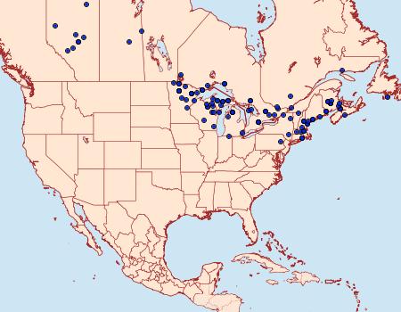 Distribution Data for Sphinx poecila