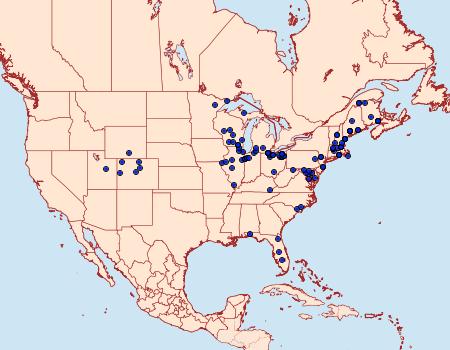 Distribution Data for Sphinx gordius