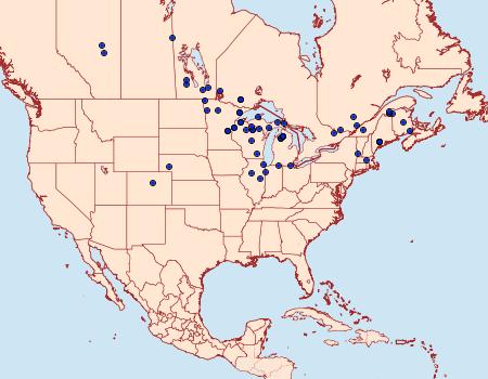 Distribution Data for Sphinx luscitiosa