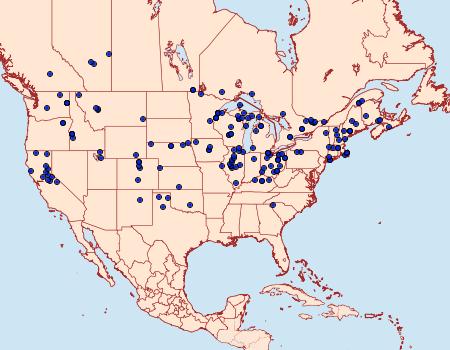 Distribution Data for Sphinx drupiferarum