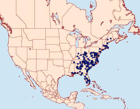 Distribution Data for Lapara coniferarum