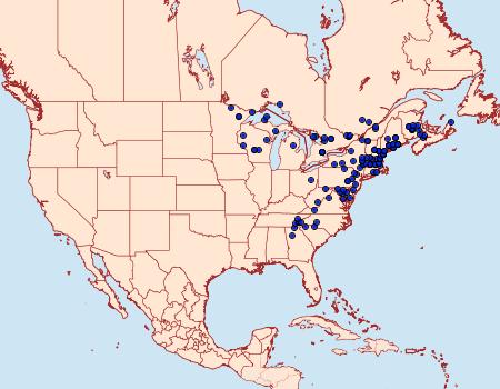 Distribution Data for Lapara bombycoides