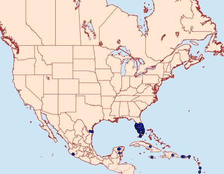 Distribution Data for Protambulyx strigilis