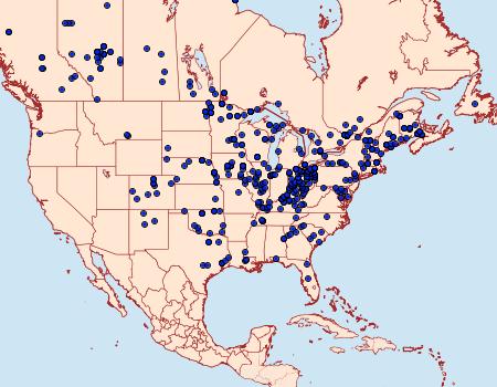 Distribution Data for Smerinthus jamaicensis