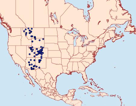 Distribution Data for Smerinthus astarte