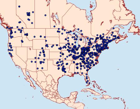 Distribution Data for Paonias excaecata