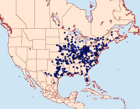 Distribution Data for Amorpha juglandis