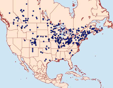 Distribution Data for Pachysphinx modesta