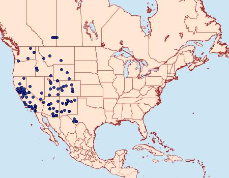 Distribution Data for Pachysphinx occidentalis