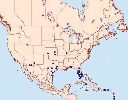 Distribution Data for Erinnyis alope