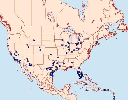 Distribution Data for Erinnyis ello