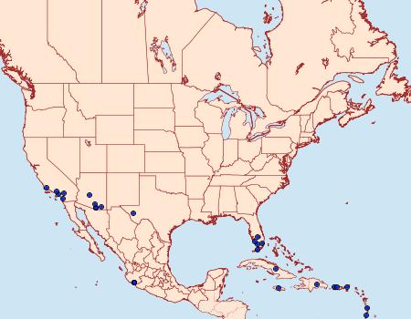 Distribution Data for Erinnyis crameri