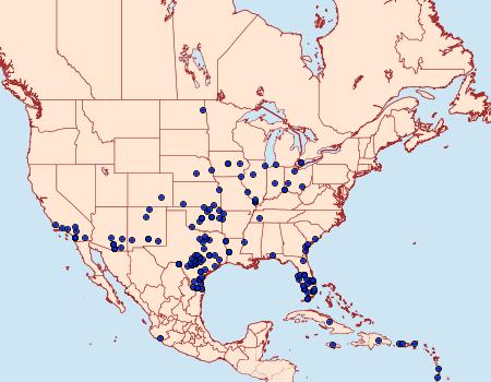 Distribution Data for Erinnyis obscura