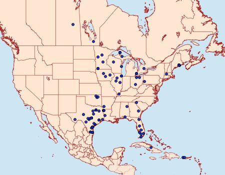 Distribution Data for Aellopos titan