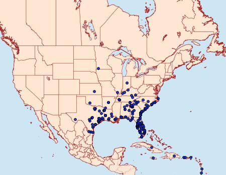 Distribution Data for Enyo lugubris