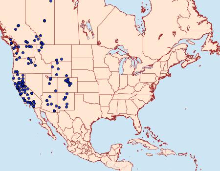 Distribution Data for Hemaris thetis