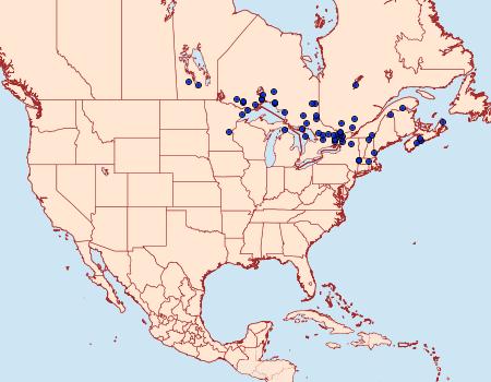 Distribution Data for Hemaris aethra