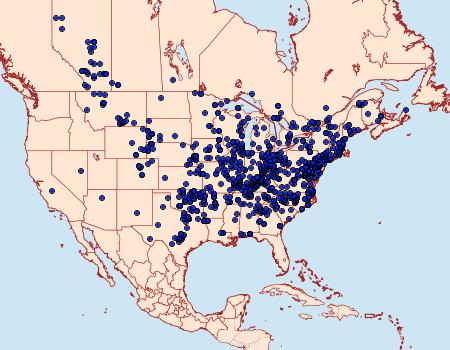 Distribution Data for Hemaris diffinis