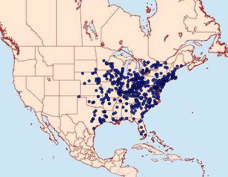 Distribution Data for Eumorpha pandorus