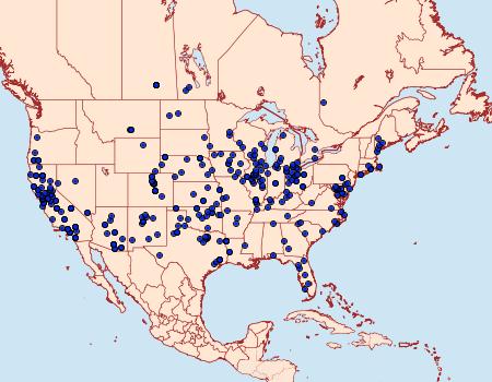 Distribution Data for Eumorpha achemon