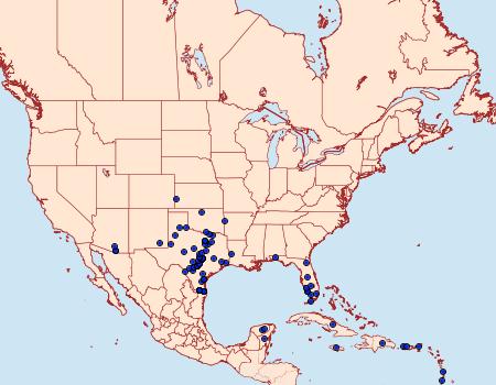 Distribution Data for Eumorpha vitis