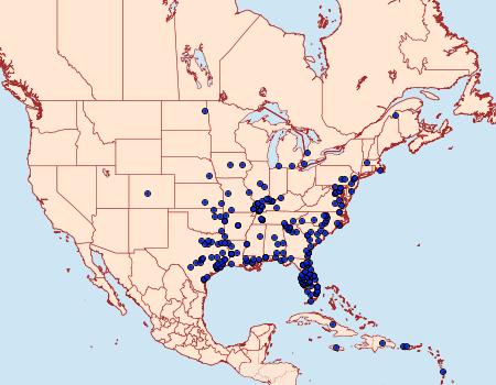 Distribution Data for Eumorpha fasciatus