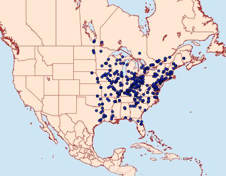 Distribution Data for Sphecodina abbottii