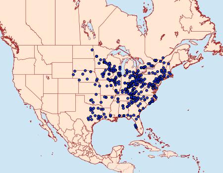 Distribution Data for Deidamia inscriptum