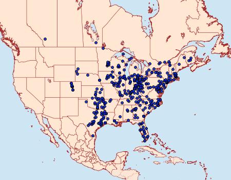 Distribution Data for Amphion floridensis