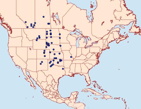 Distribution Data for Proserpinus juanita