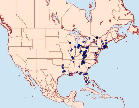 Distribution Data for Darapsa versicolor