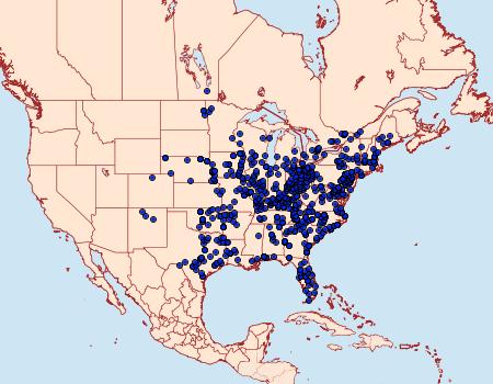 Distribution Data for Darapsa myron