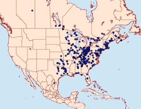 Distribution Data for Darapsa choerilus