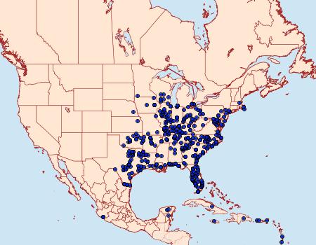 Distribution Data for Xylophanes tersa