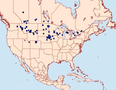 Distribution Data for Hyles euphorbiae