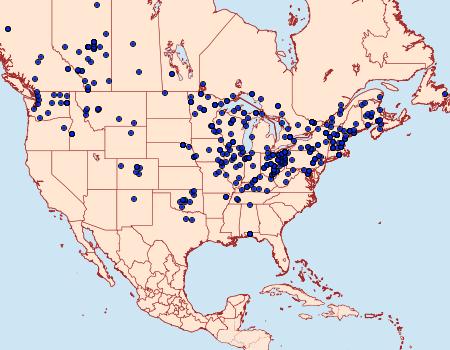 Distribution Data for Clostera albosigma